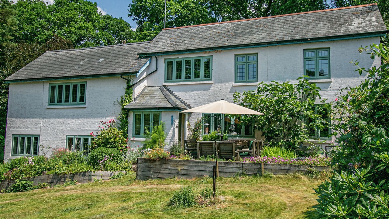 Photo of Outdoor in New Forest District