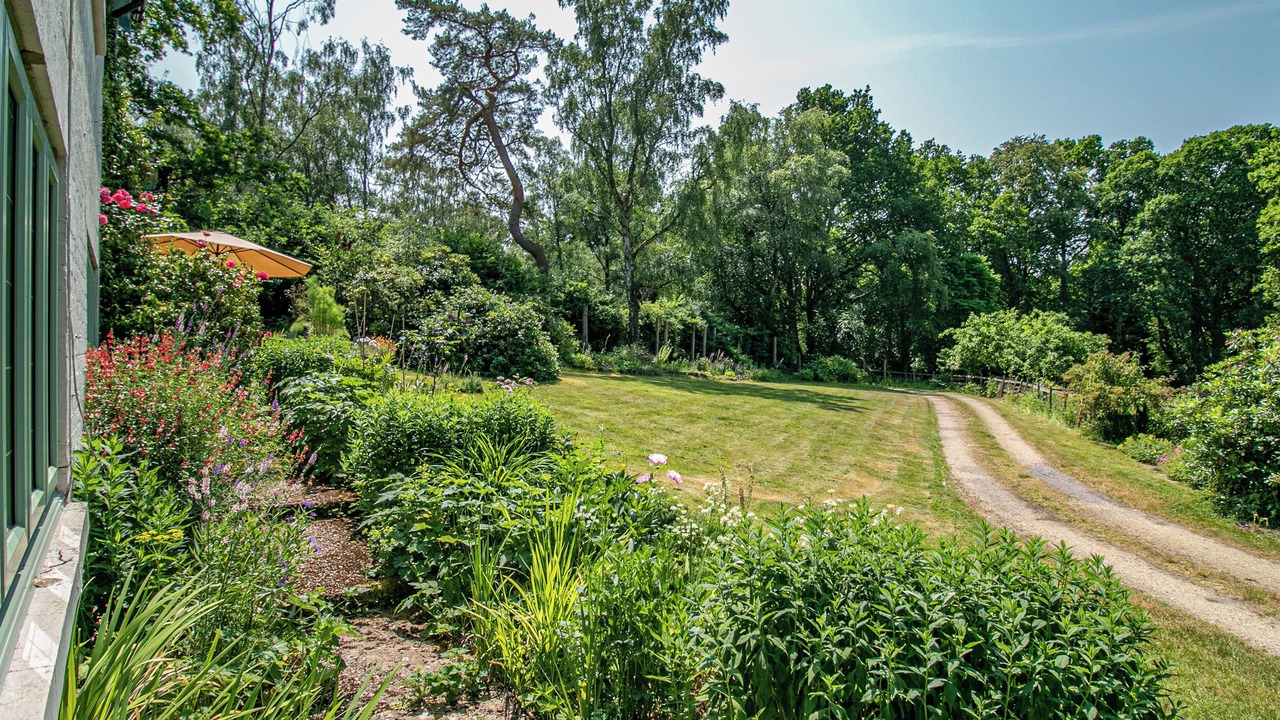 Photo of Outdoor in New Forest District