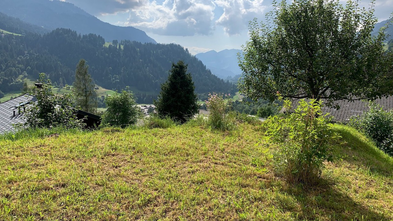 Photo of Others in Ormont-Dessus