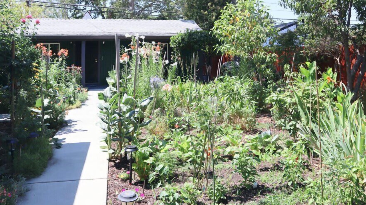Photo of Outdoor in North Oak Park
