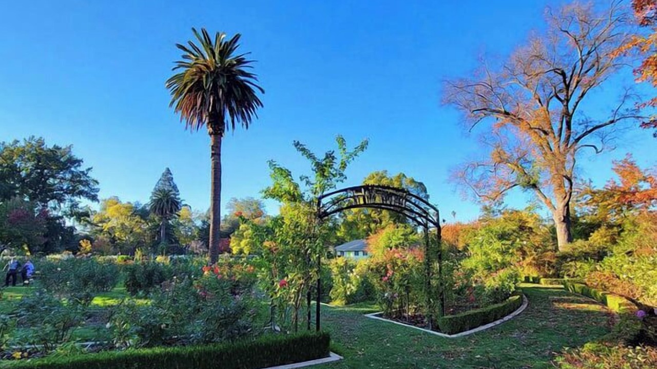 Photo of Outdoor in North Oak Park