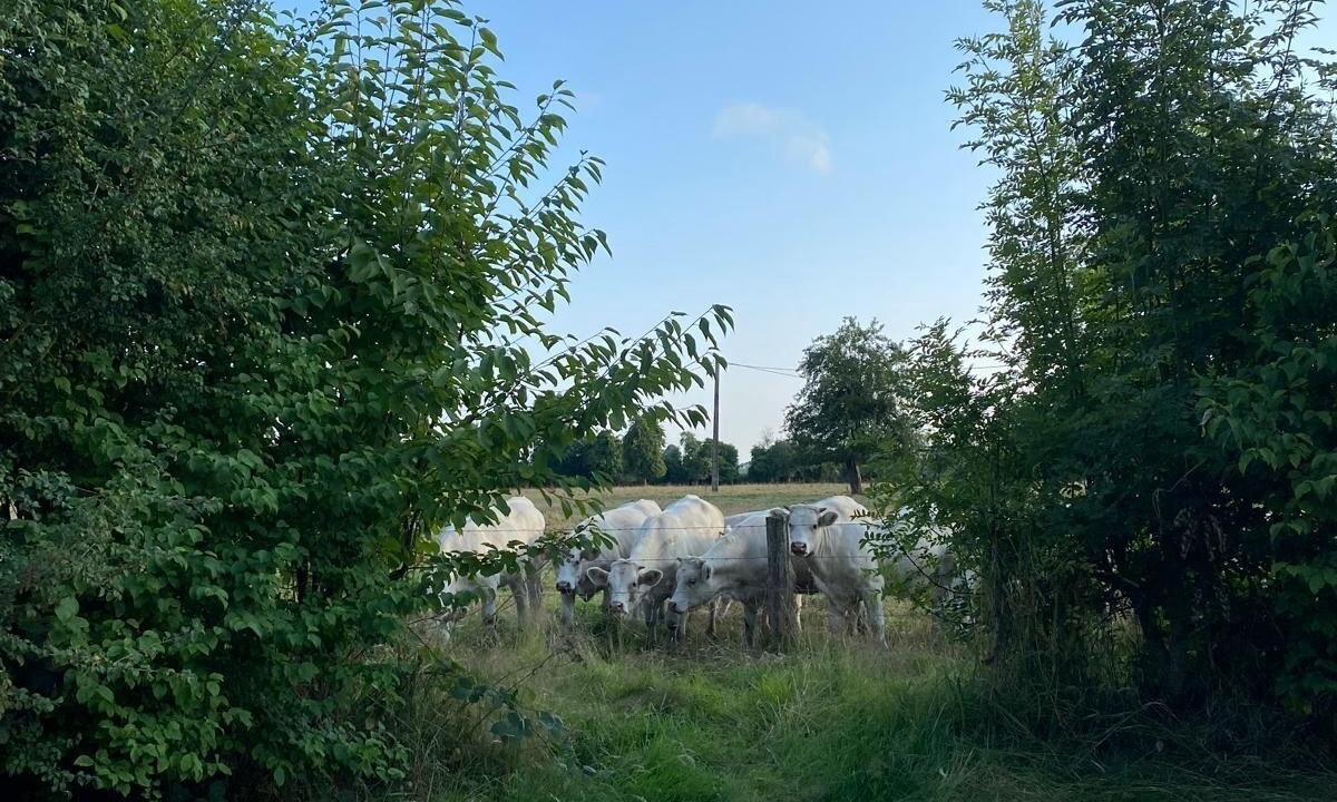 Photo of Outdoor in La Lande-Saint-Leger