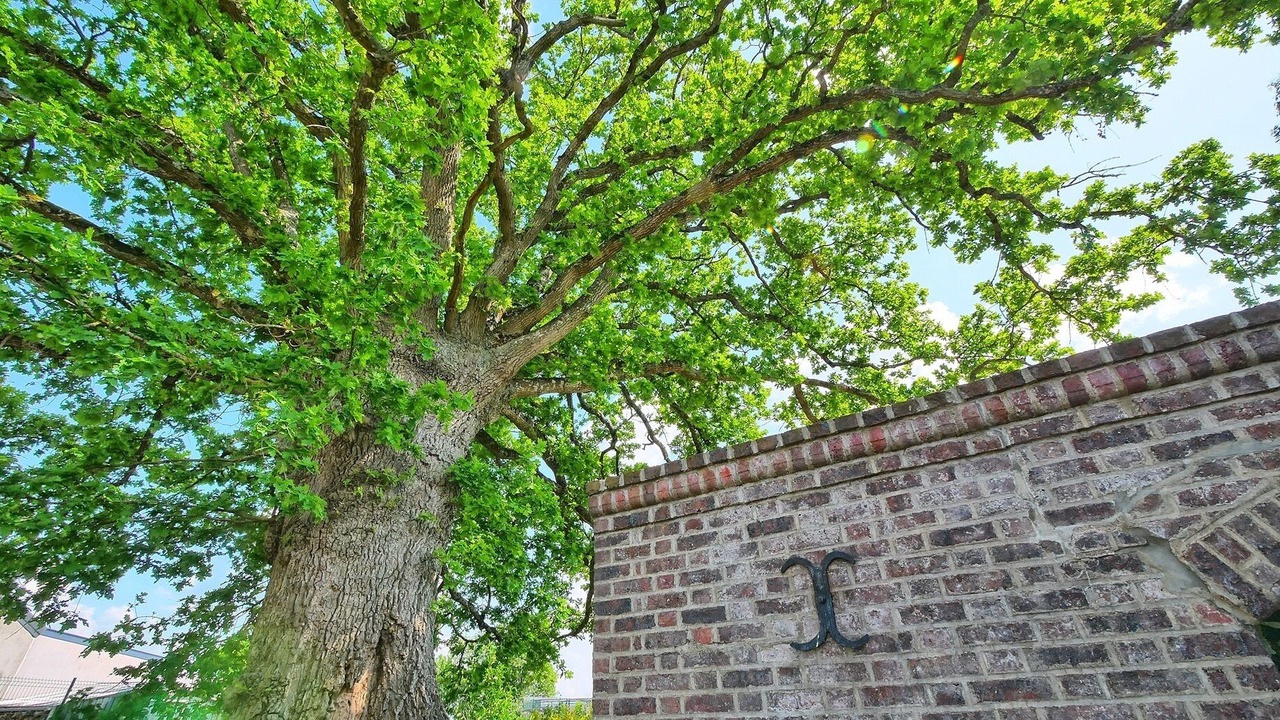 Photo of Outdoor in Les Hayes