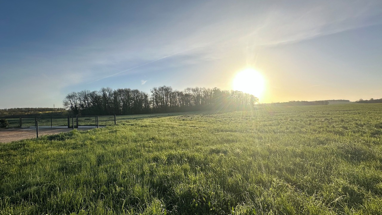 Photo of Others in Les Hayes