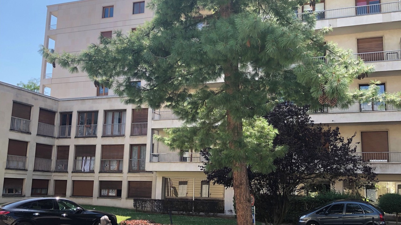 Photo of Outdoor in Saint-Germain-en-Laye
