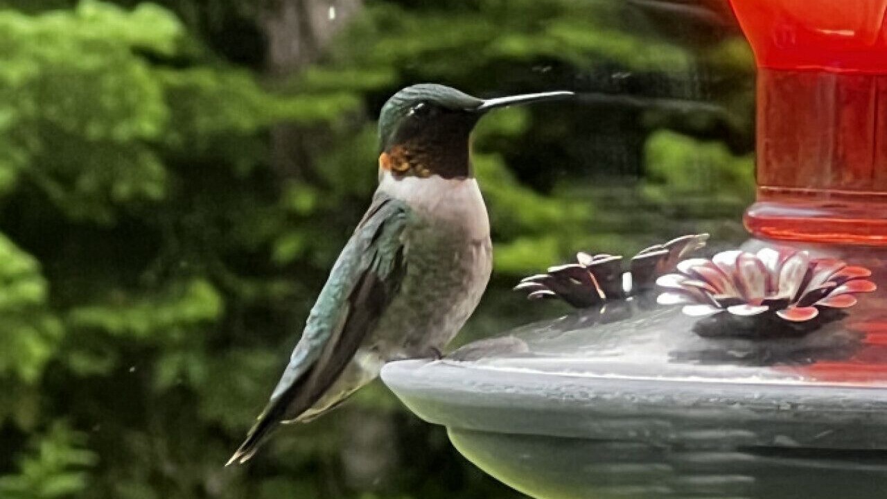 Photo of Others in Saint John