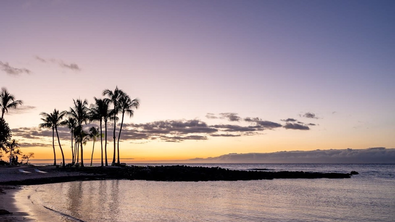 Photo of Others in Kahaluu Bay