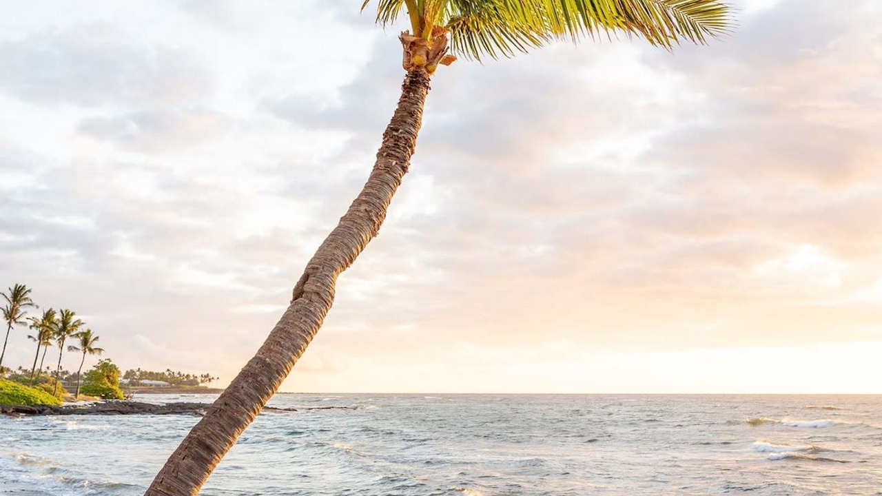 Photo of Others in Kahaluu Bay