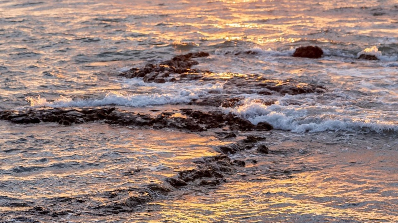 Photo of Others in Kahaluu Bay
