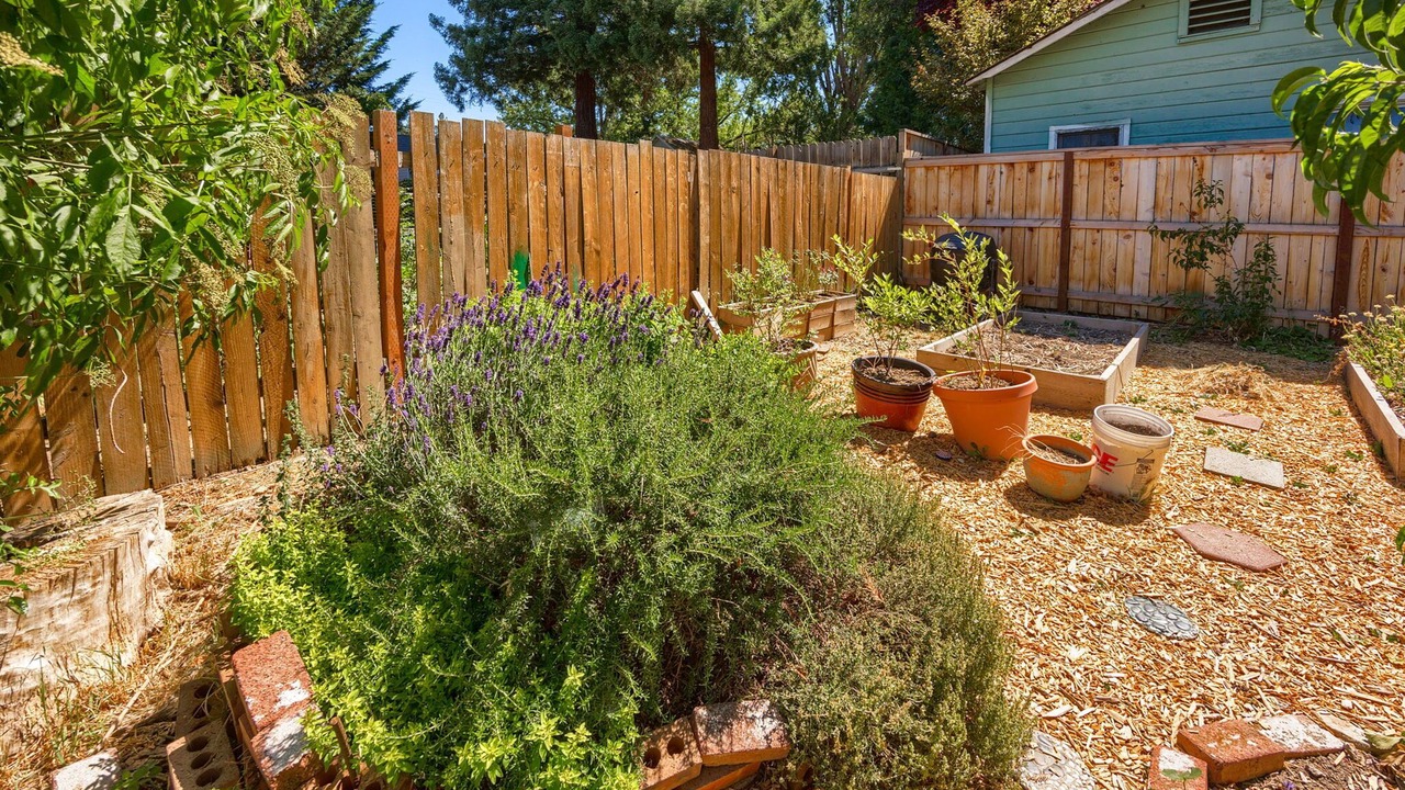 Photo of Outdoor in Phoenix