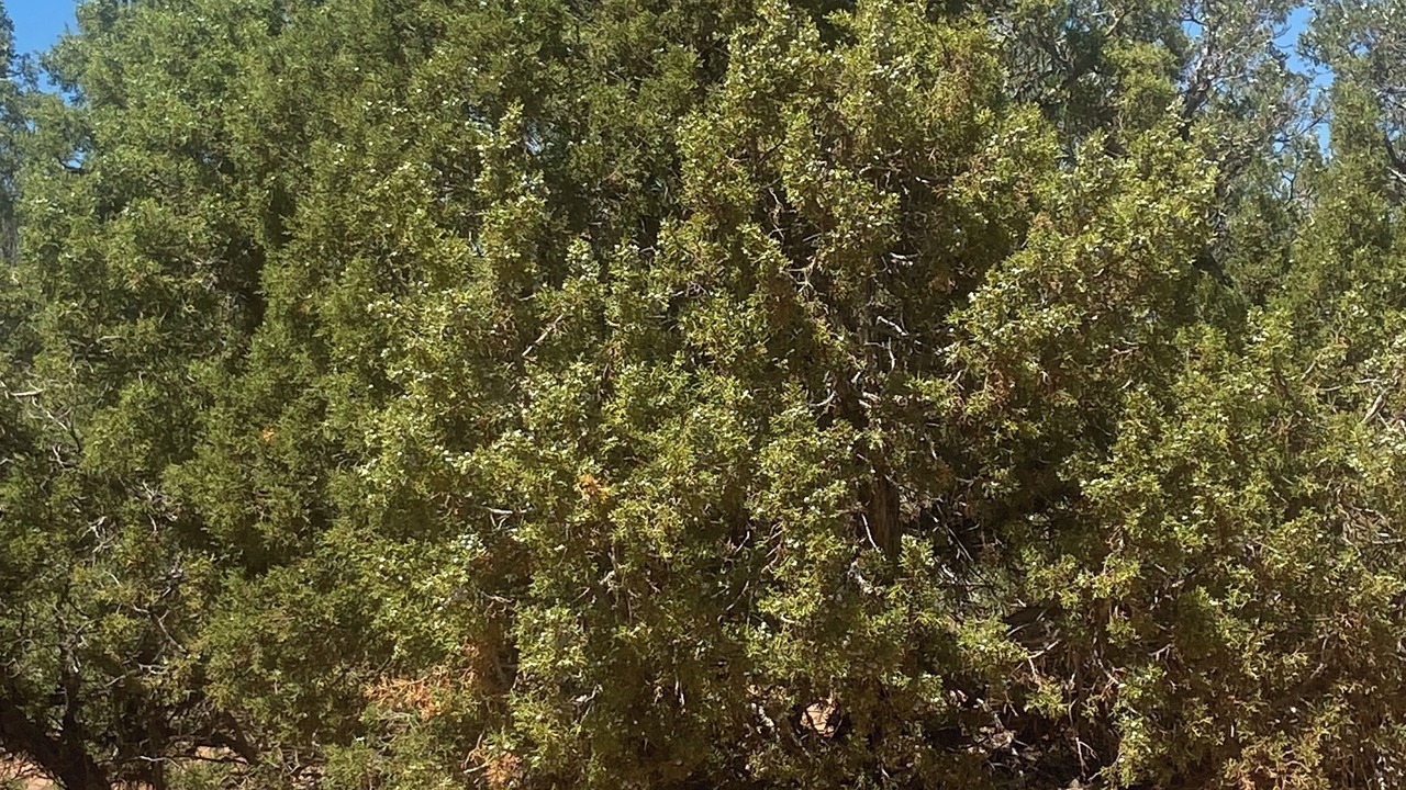 Photo of Outdoor in Roosevelt