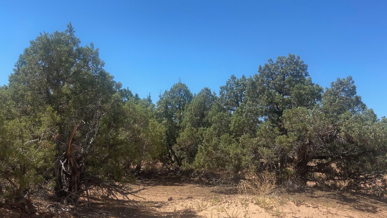 Photo of Outdoor in Roosevelt