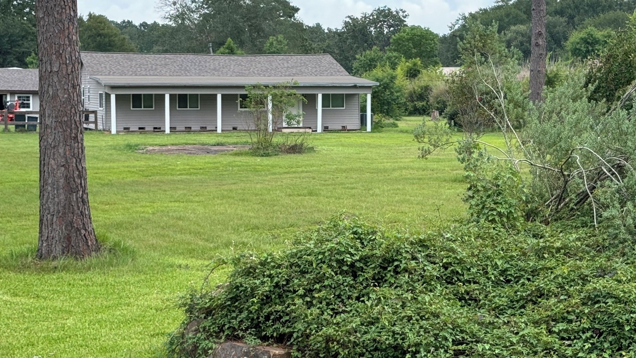Photo of Others in Magnolia