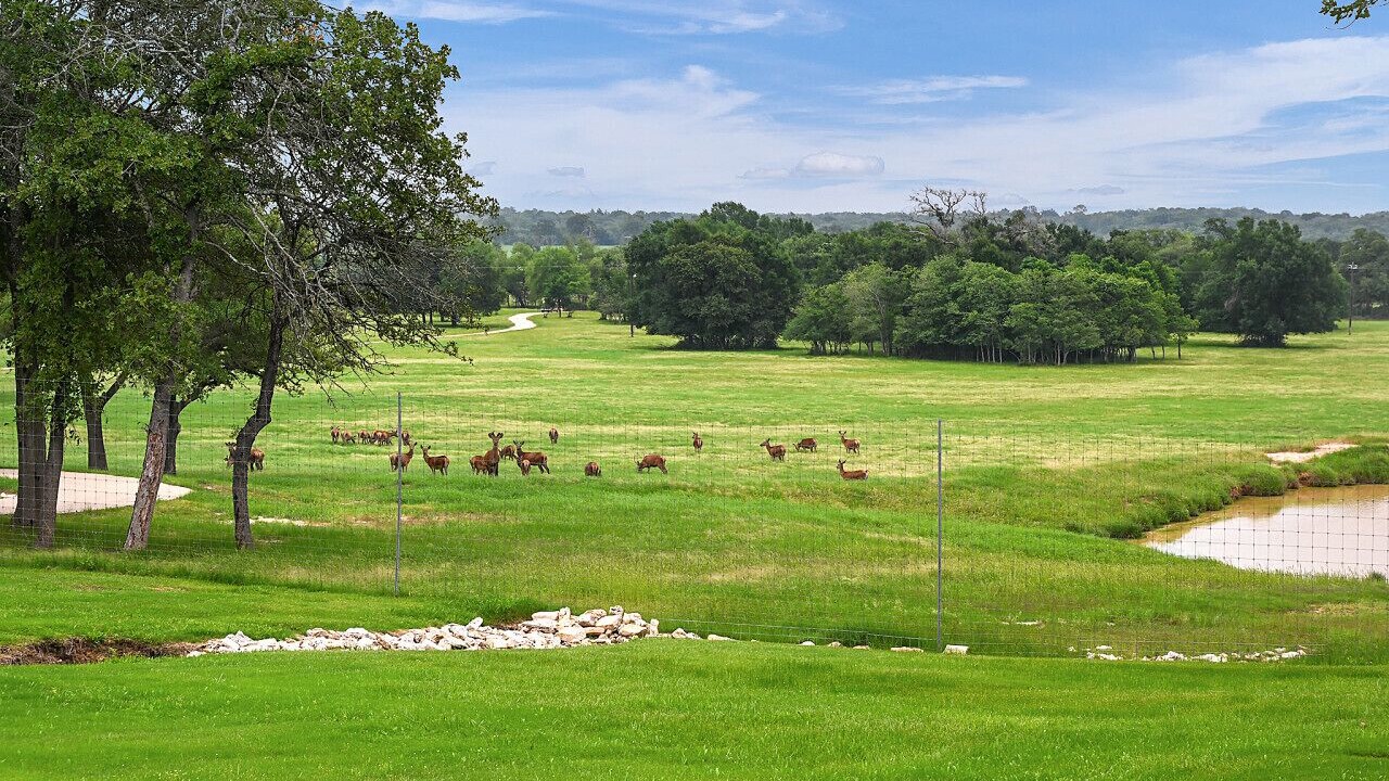 Photo of Others in Brazos Valley