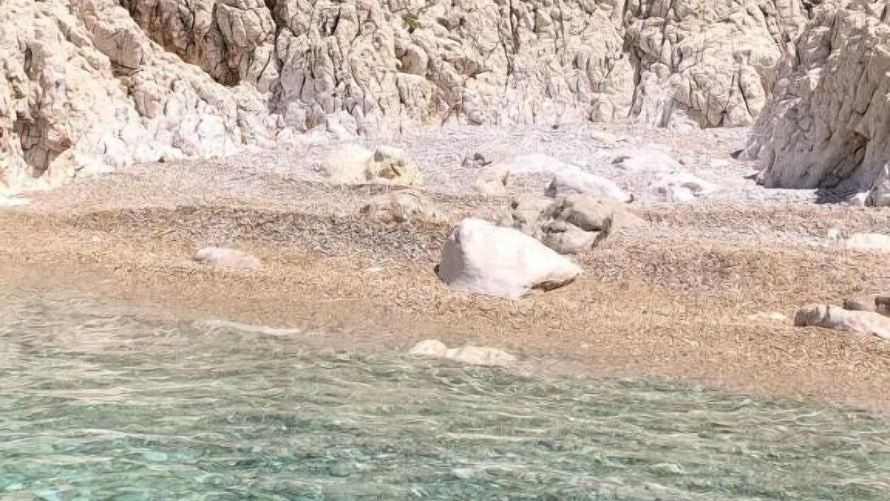 Photo of Others in Martinscica