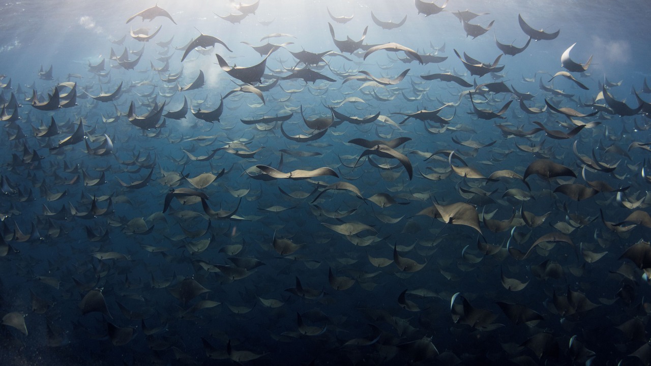 Photo of Others in La Paz