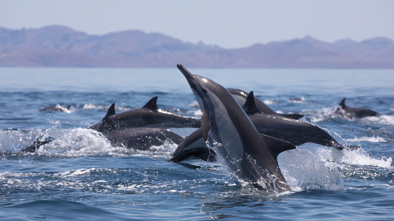 Photo of Others in La Paz