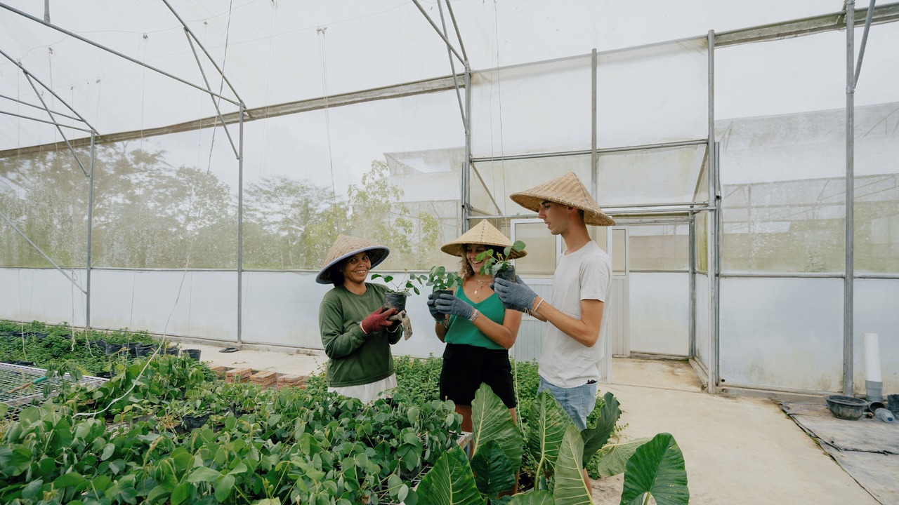 Photo of Outdoor in Buahan