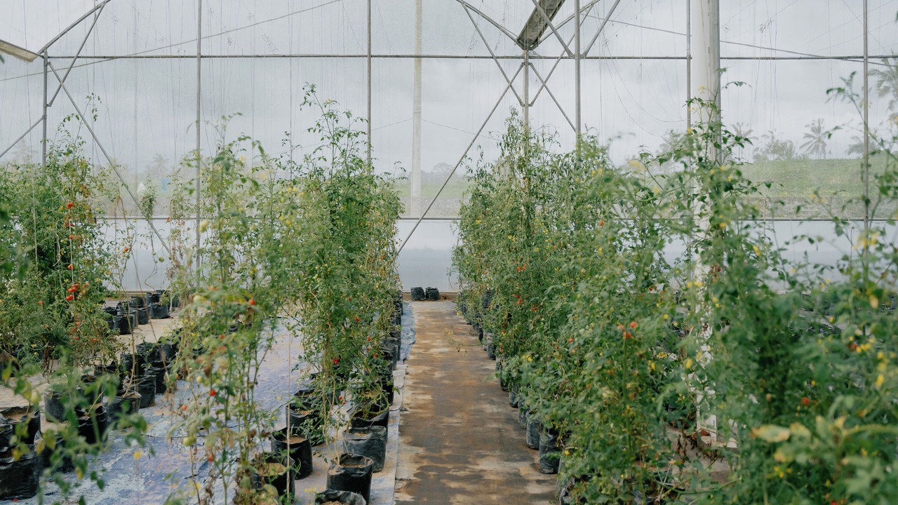 Photo of Outdoor in Buahan