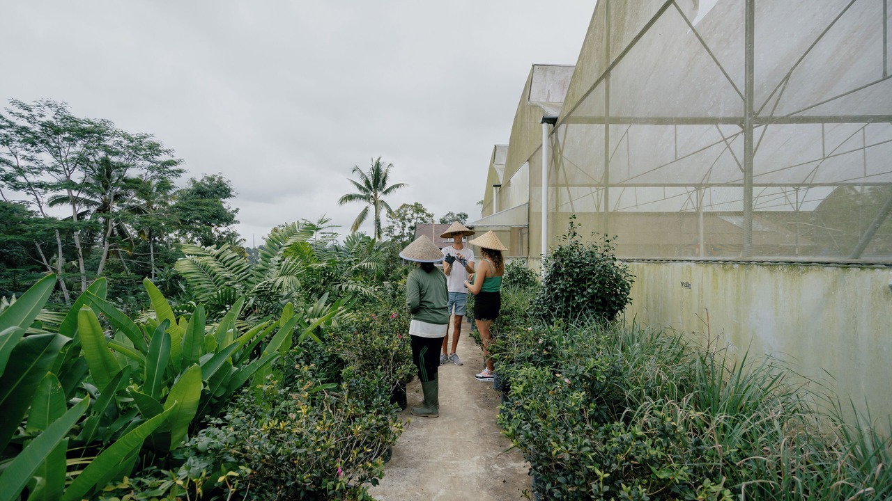 Photo of Outdoor in Buahan