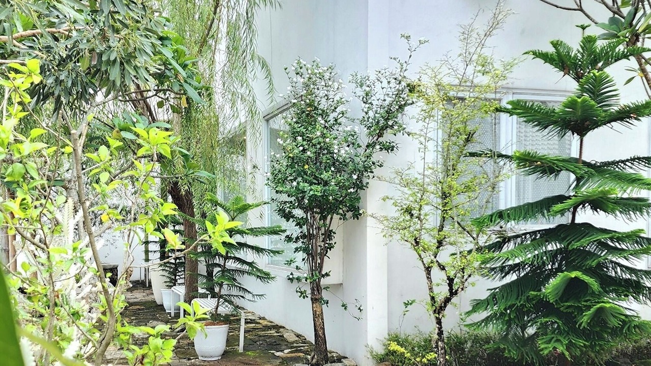 Photo of Outdoor in Ngaglik