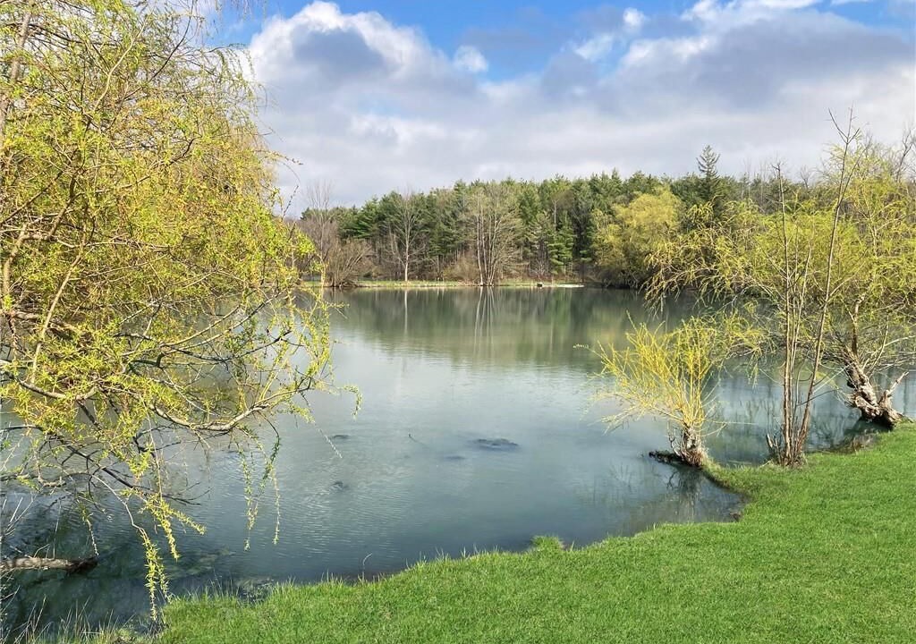 Photo of Outdoor in Georgetown