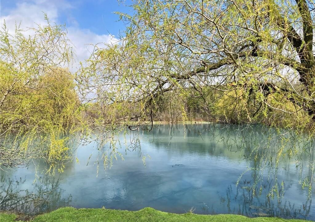 Photo of Outdoor in Georgetown