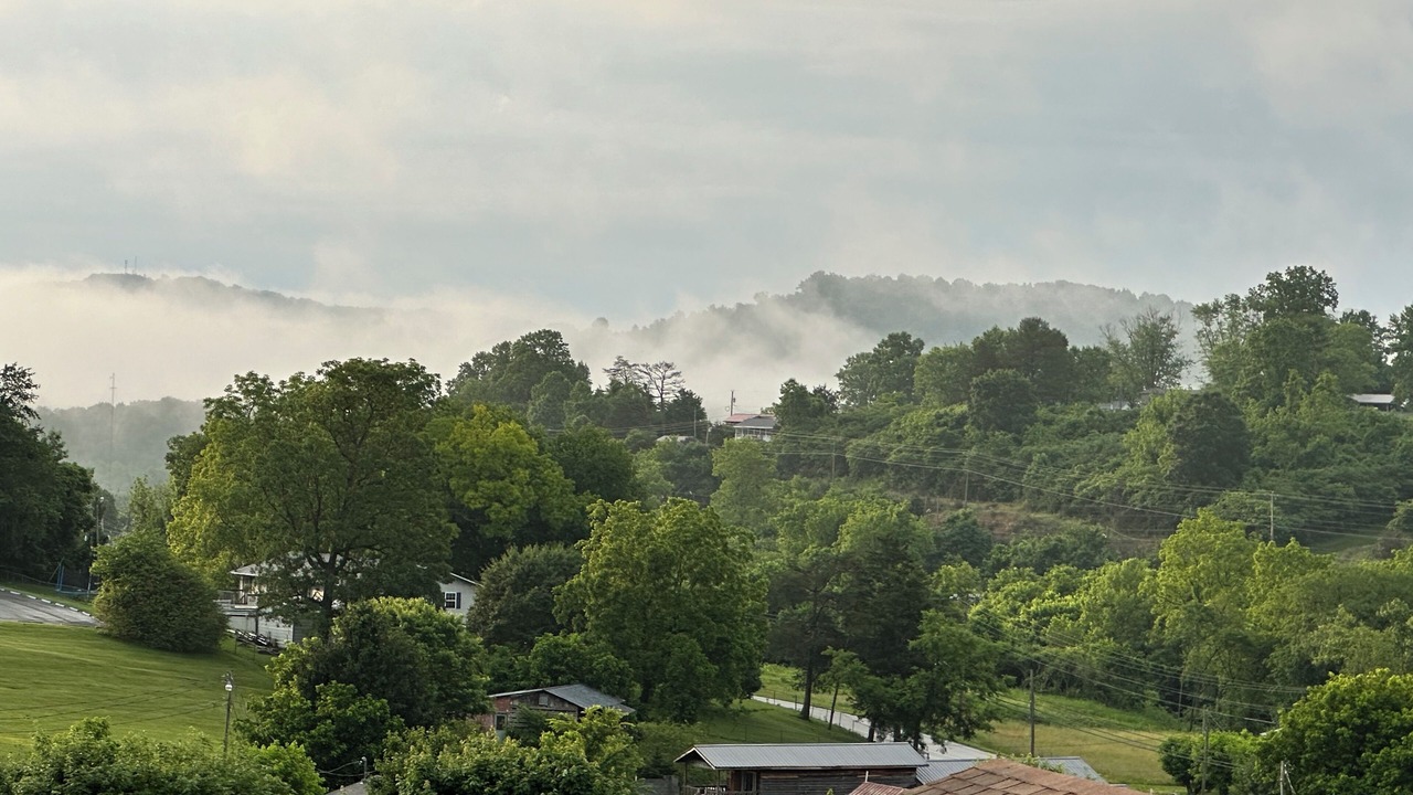 Photo of Others in New Tazewell