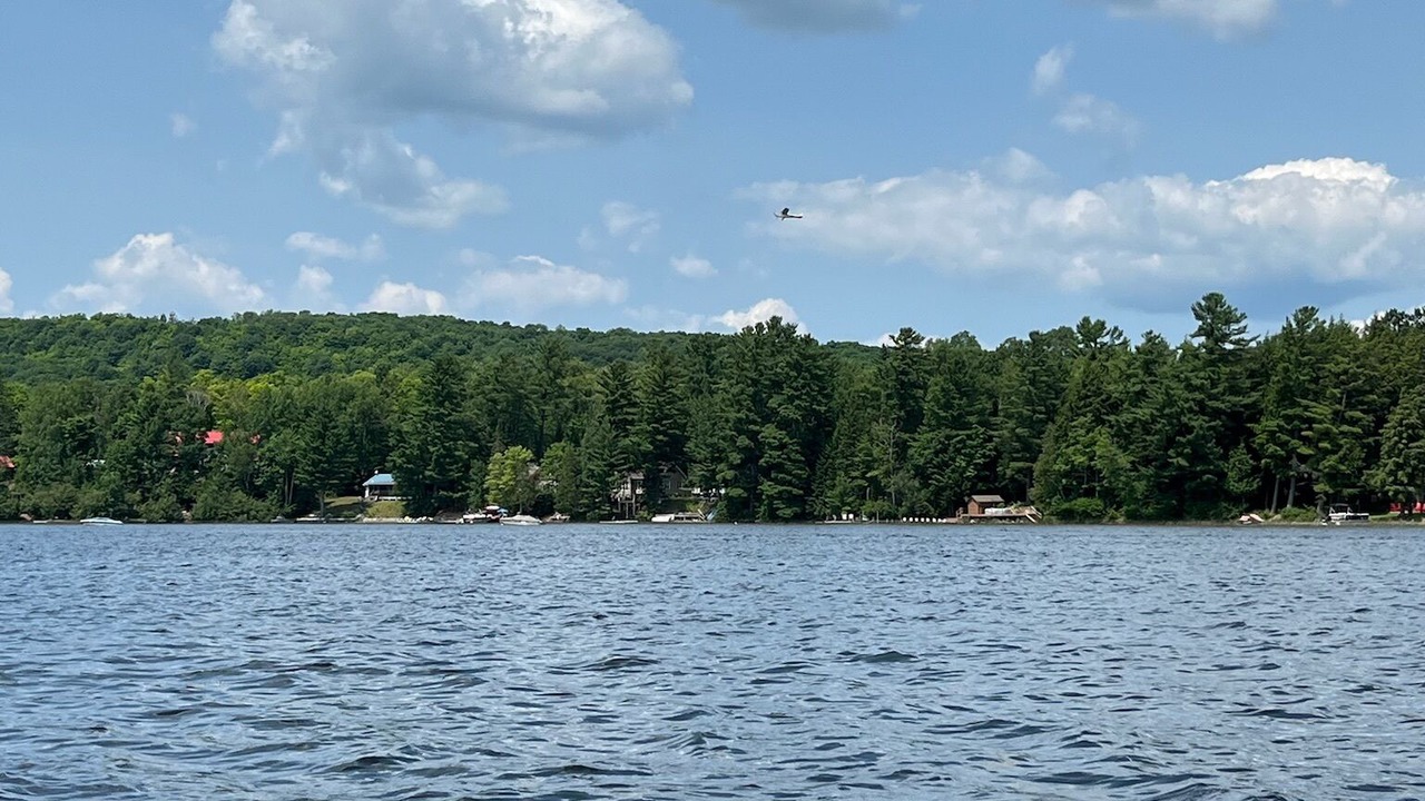 Photo of Others in Algonquin Highlands