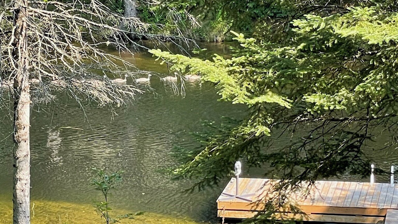 Photo of Outdoor in Algonquin Highlands