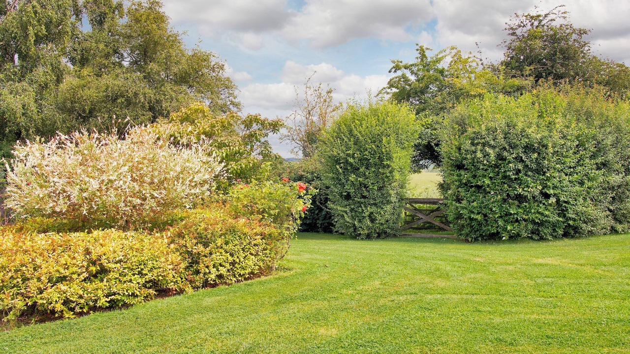 Photo of Outdoor in Leigh