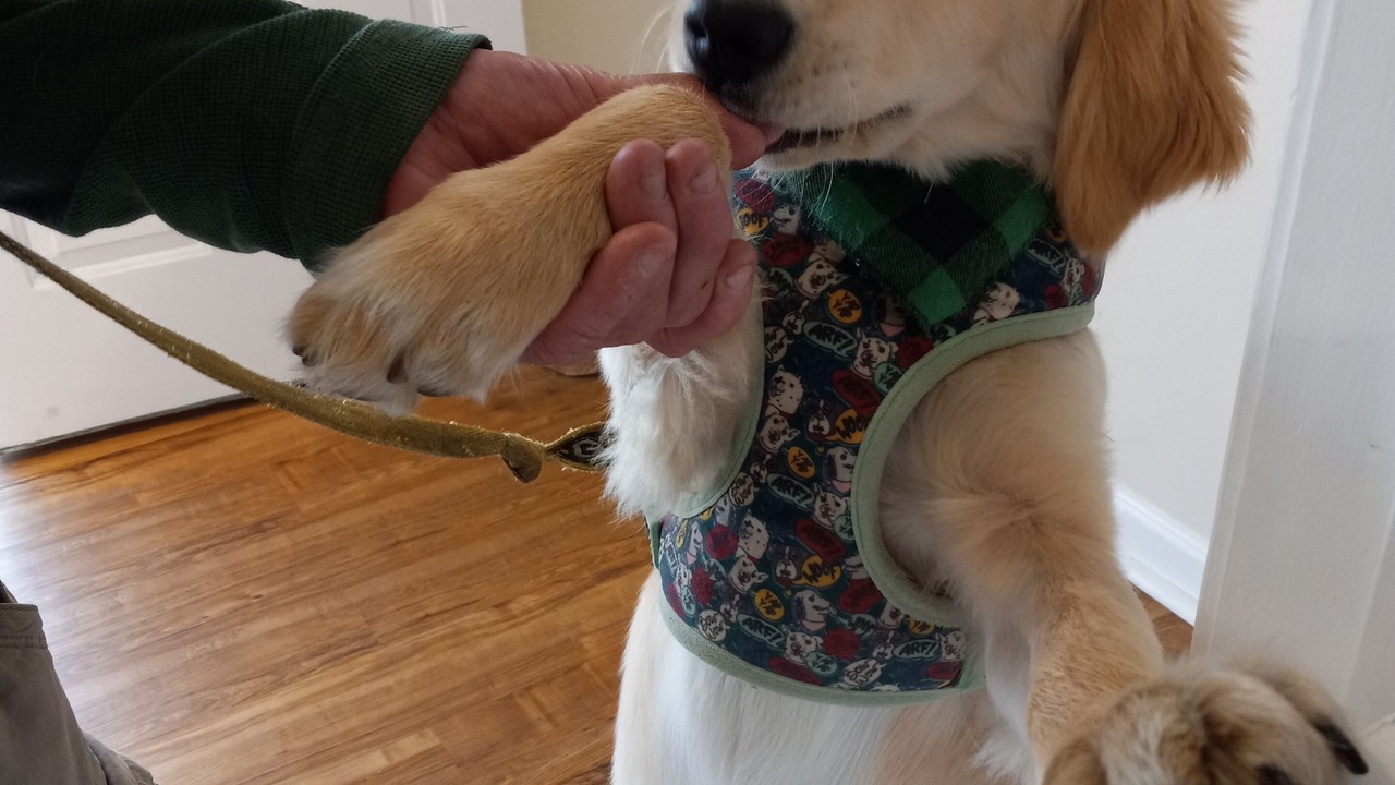 Photo of Others in Misquamicut