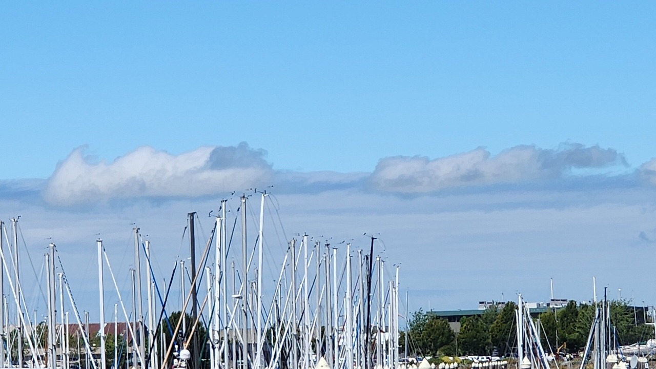 Photo of Others in York