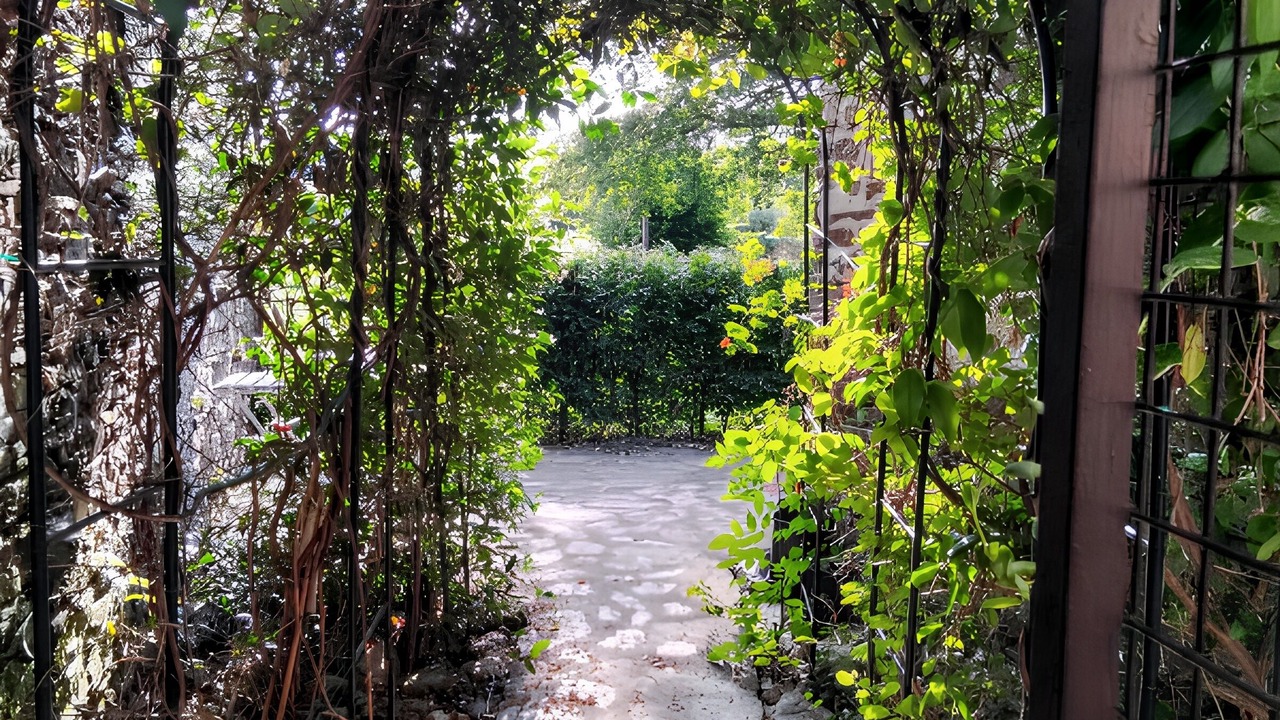 Photo of Outdoor in Betete