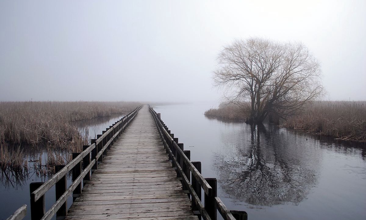 Photo of Outdoor in Ruthven