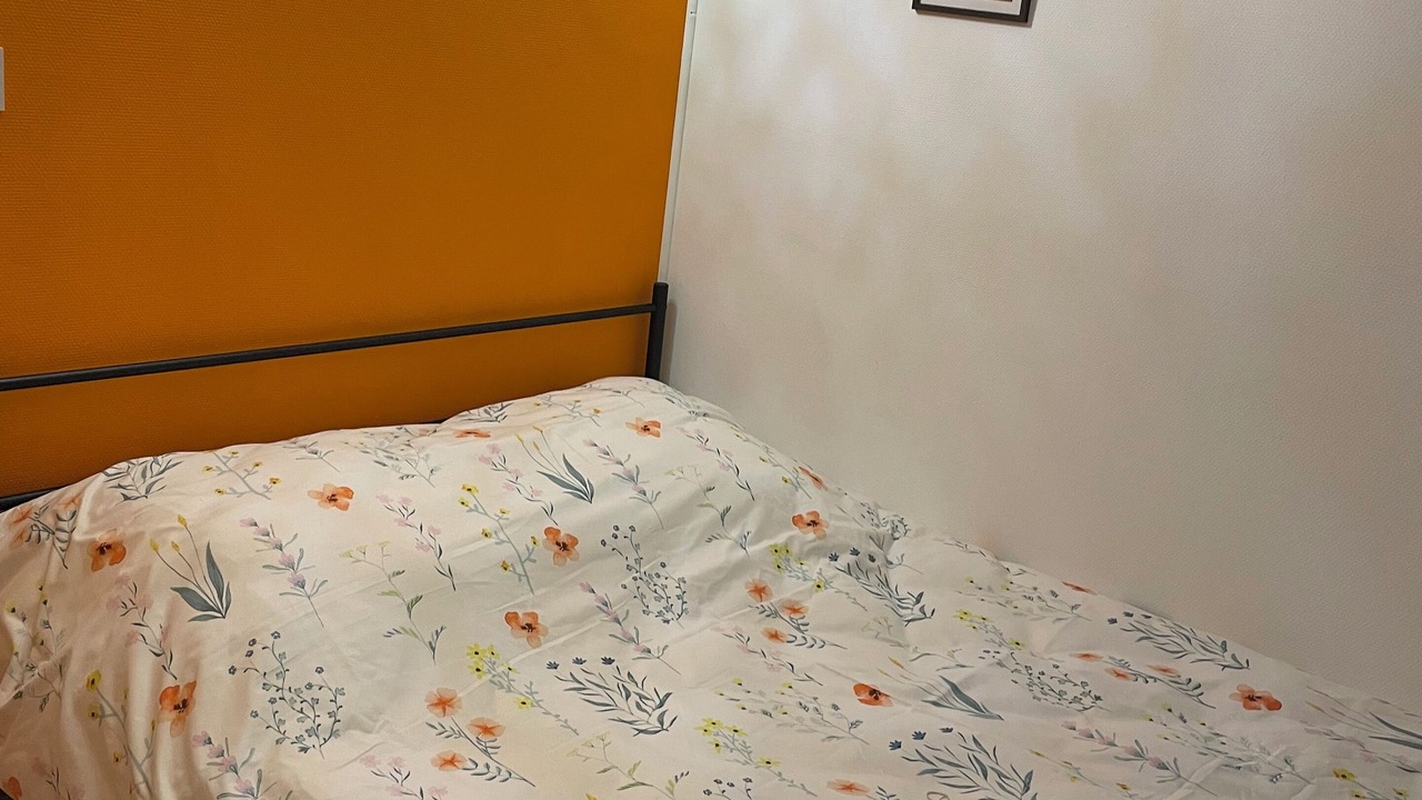 Photo of Others in Ousson-sur-Loire