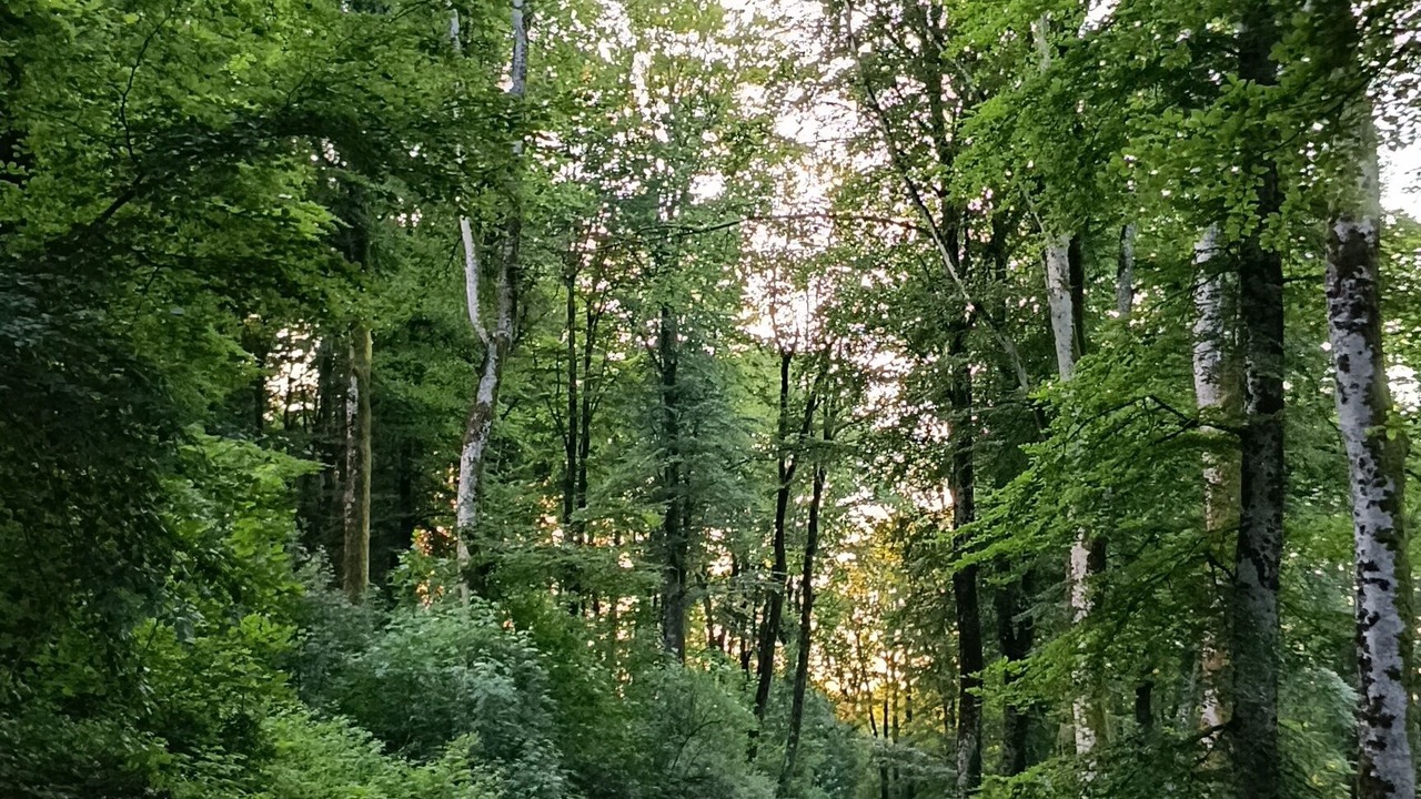 Photo of Outdoor in Chateau-Chinon