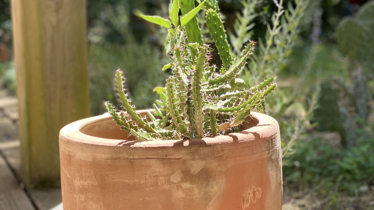 Photo of Outdoor in Roquetaillade