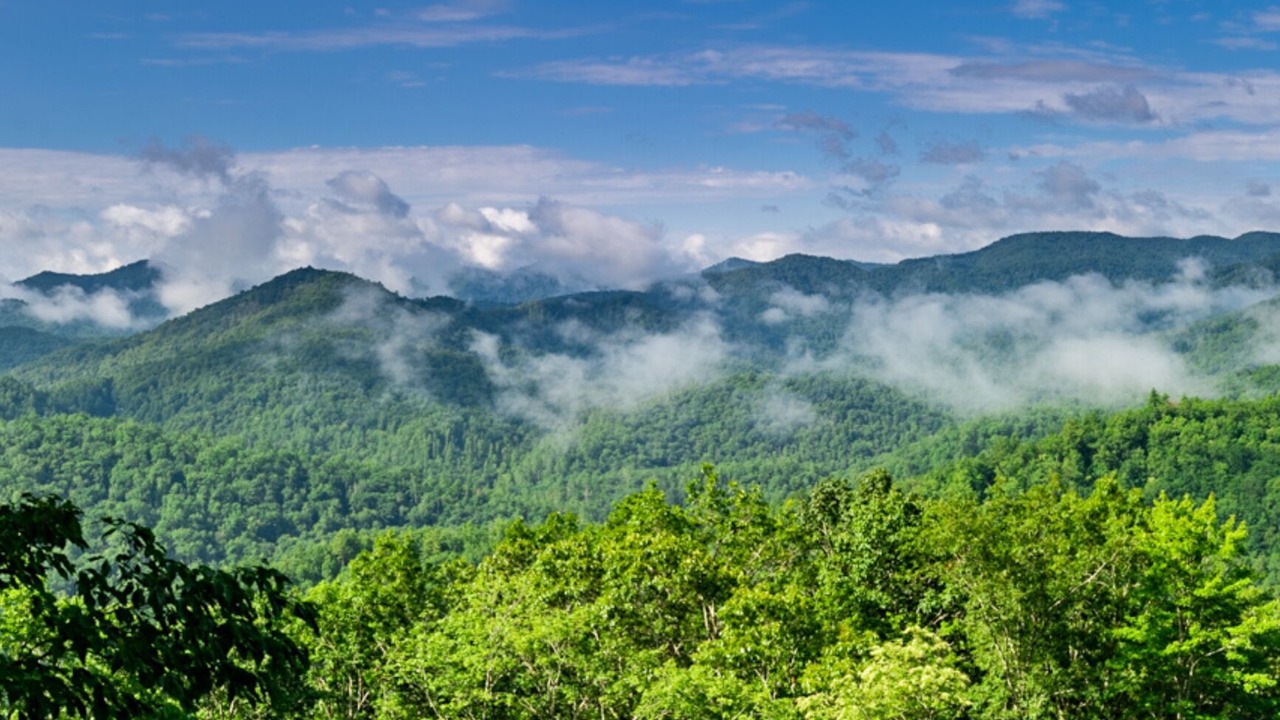 Photo of Outdoor in Robbinsville