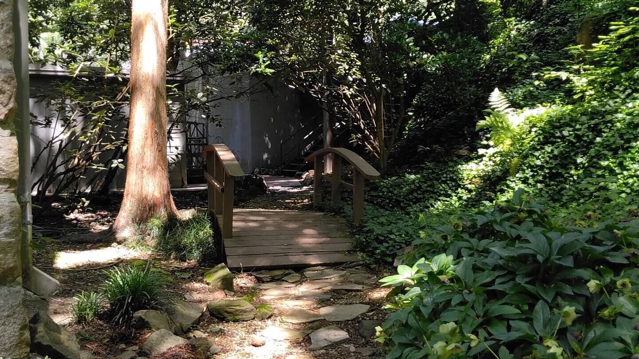 Photo of Outdoor in North Raleigh