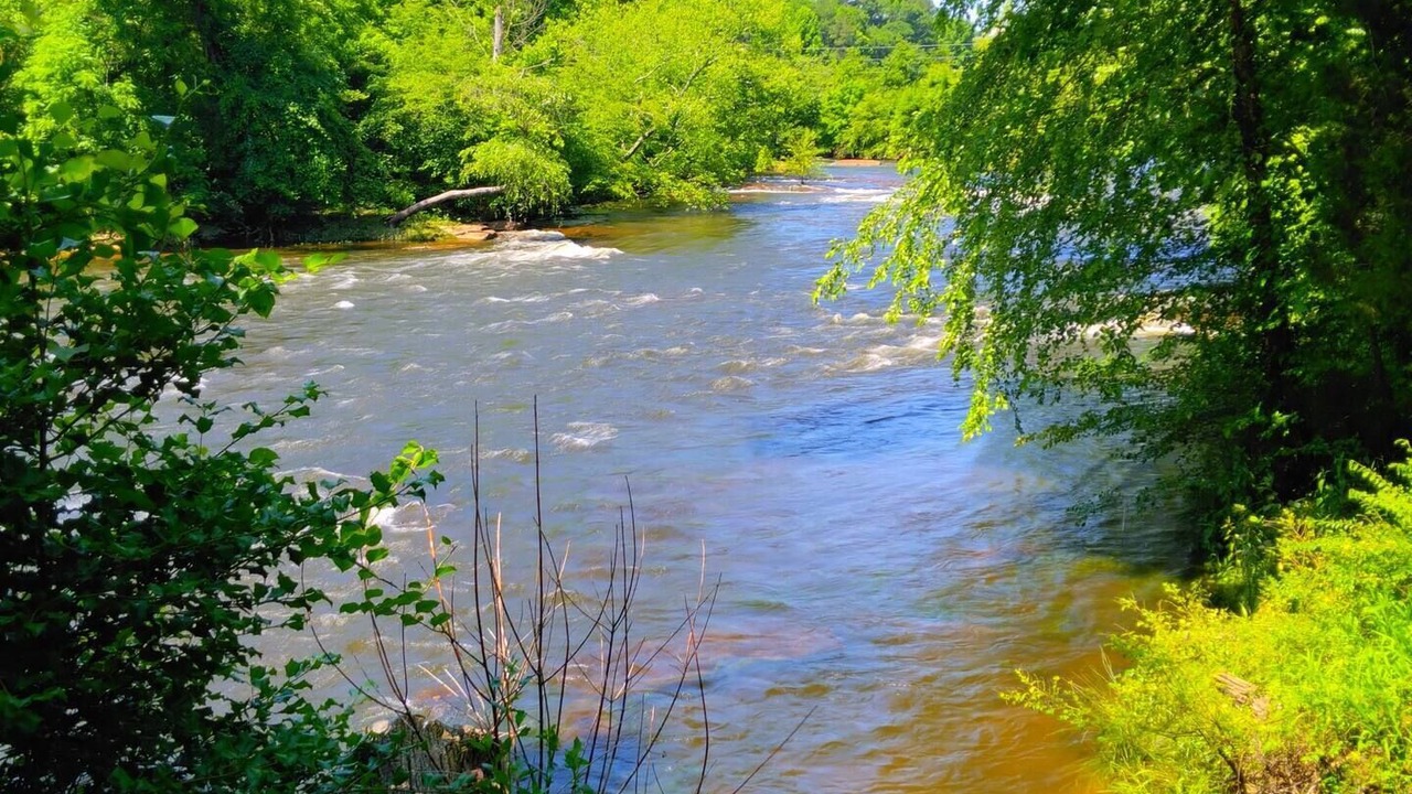 Photo of Others in North Raleigh