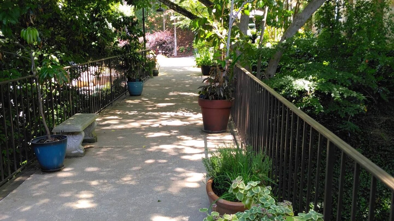 Photo of Outdoor in North Raleigh