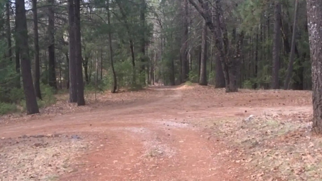 Photo of Outdoor in Cedar Ridge