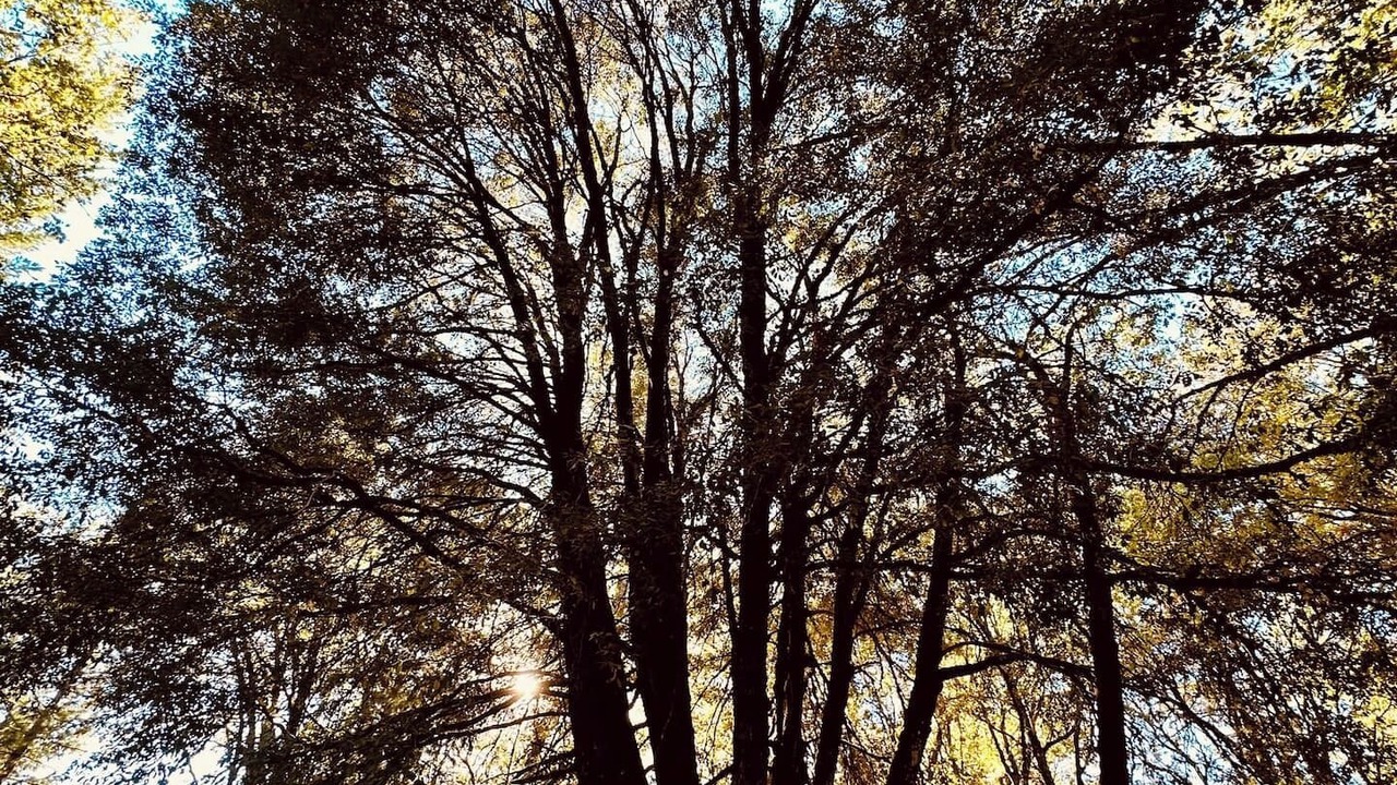 Photo of Outdoor in Cedar Ridge