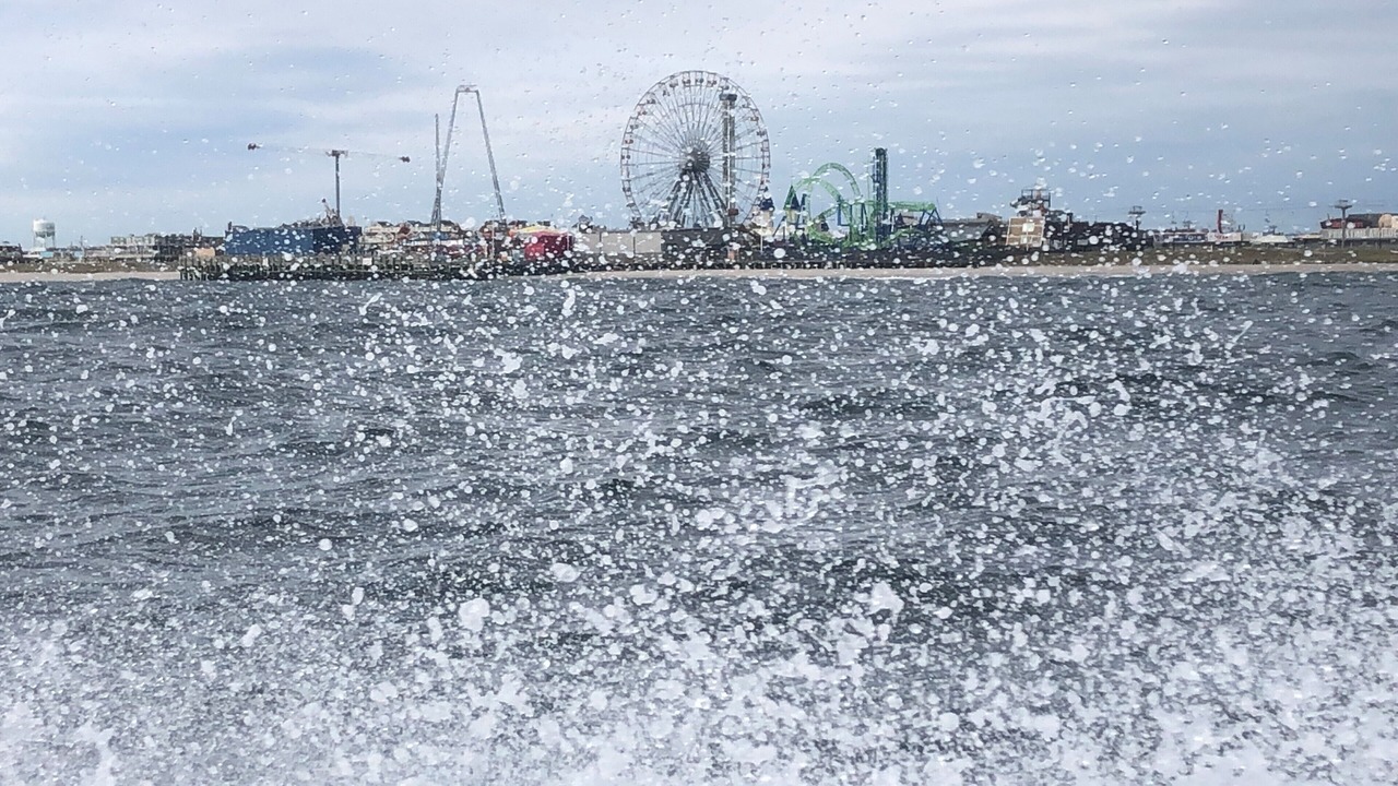 Photo of Others in Lavallette