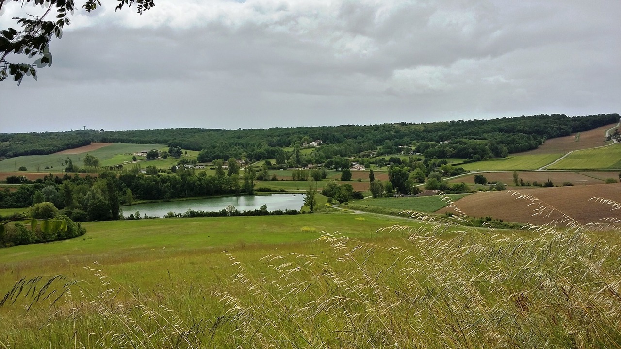 Photo of Others in Genebrieres