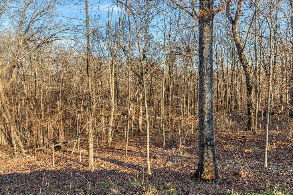 Photo of Others in Innsbrook