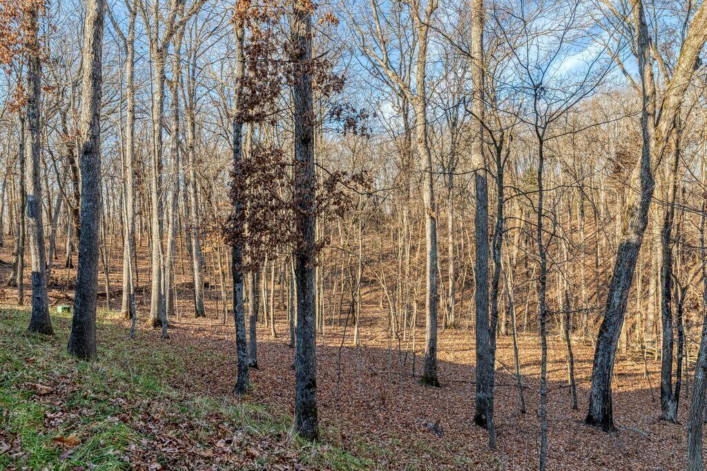 Photo of Outdoor in Innsbrook