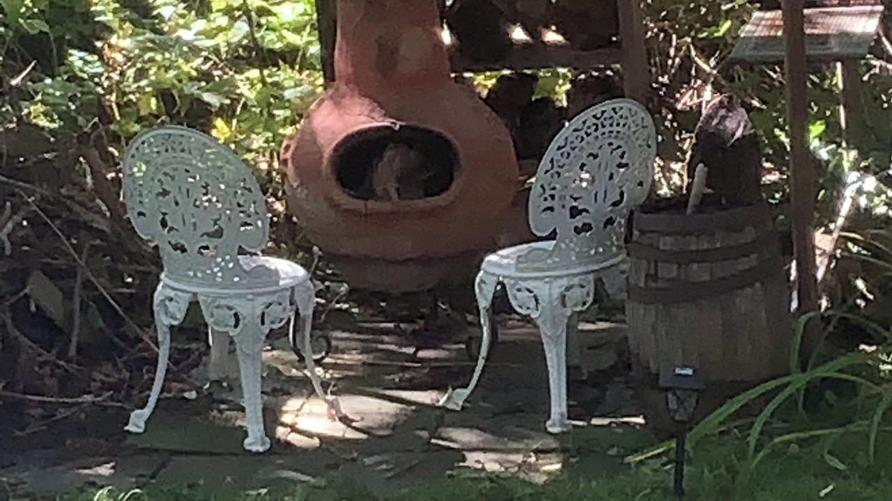 Photo of Patio Balcony in Mount Pleasant