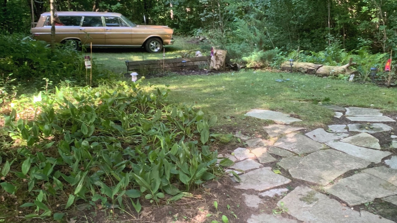 Photo of Outdoor in Mount Pleasant